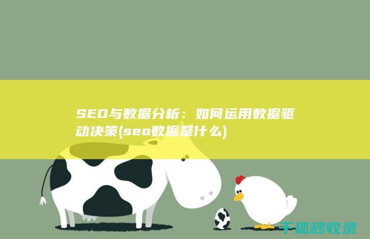 SEO与数据分析：如何运用数据驱动决策 (seo数据是什么)