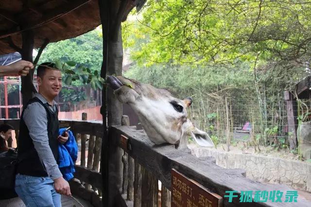 地倒设施与宠物旅游：探索世界的起点 (倒置地形)