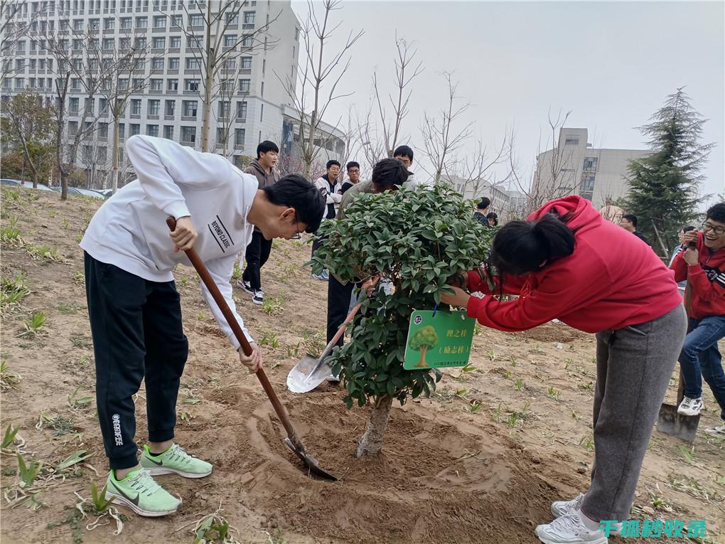 植树节：为地球增添一抹绿意 (植树节为地球充植的意义)
