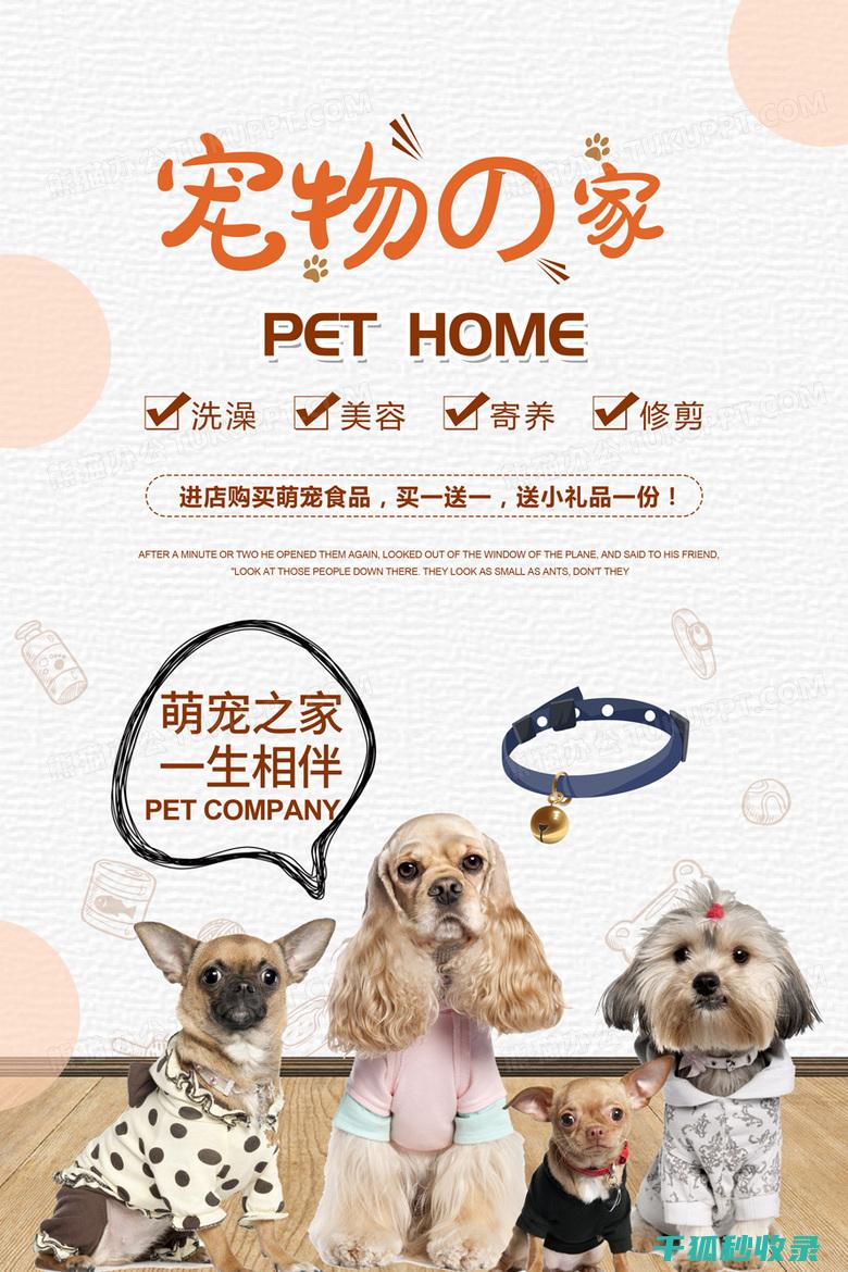 宠物驱虫周期：科学规划，轻松驱虫 (宠物驱虫周期多久)