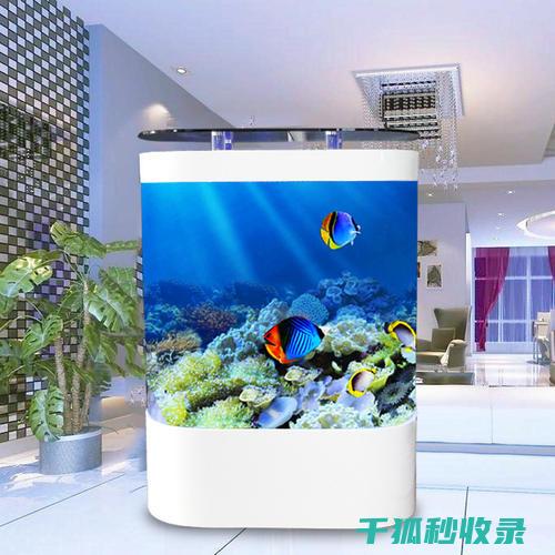 水族箱清洁误区：过度搅拌底砂的不良后果 (水族箱清洁误差多少)