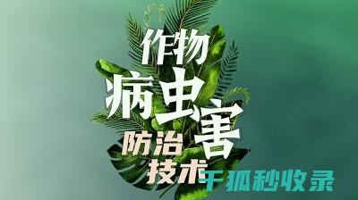 植物病虫害防治：科学规划与精细化管理 (植物病虫害防治考试题及答案)