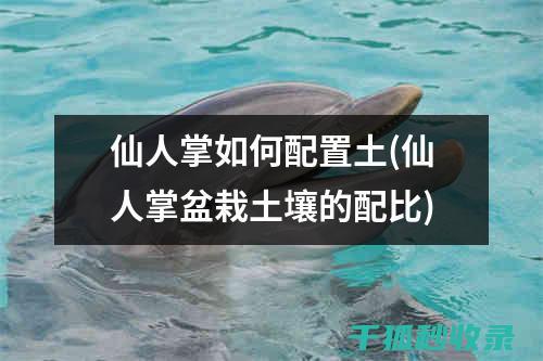 新手必看的实用技巧