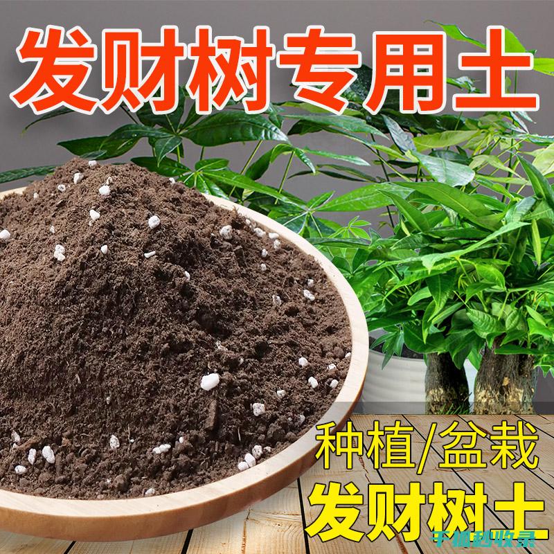 如何调配理想的土壤