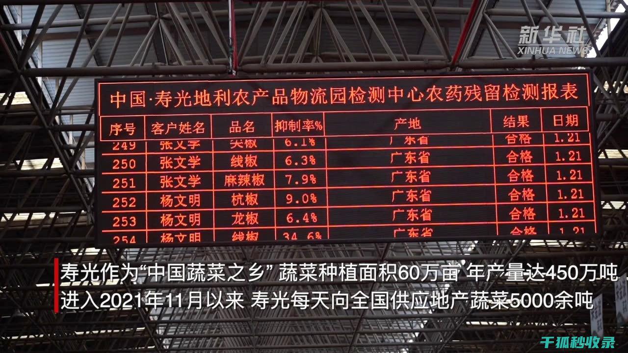 90个蔬菜保鲜延长的实用技巧 (50种蔬菜保质期一览表)