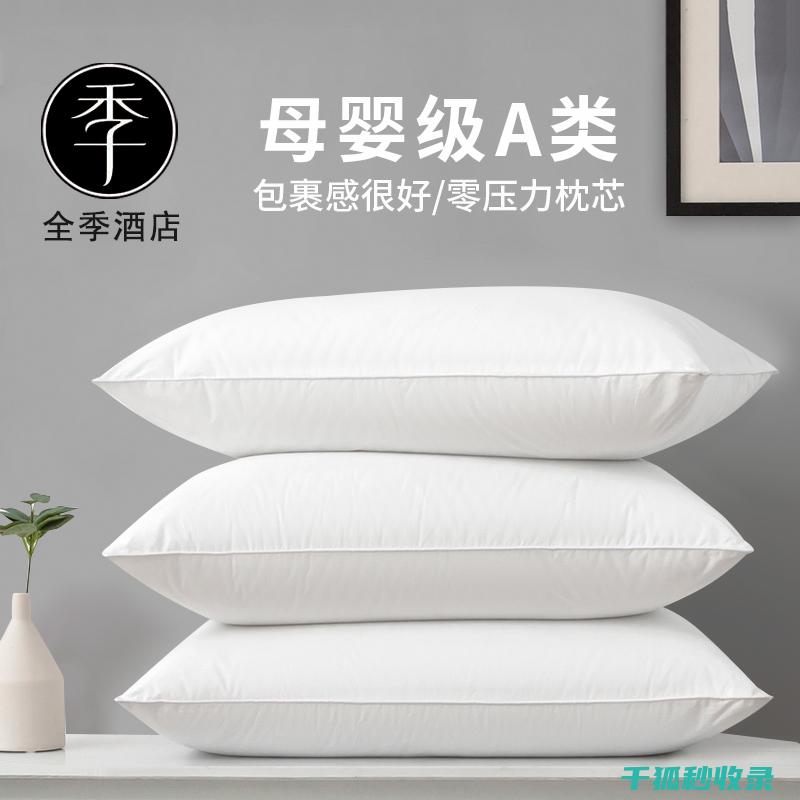 枕头除螨新发现：新型除螨产品评测 (给枕头除螨)