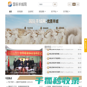国际羊绒网